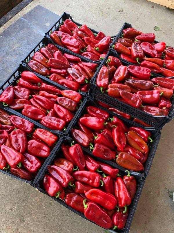 Квалитетни производи